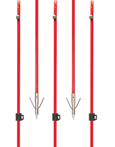 Cajun Bowfishing Piranha XT with Red Fiberglass Arrow