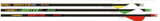 Gold Tip Hunter XT Arrows